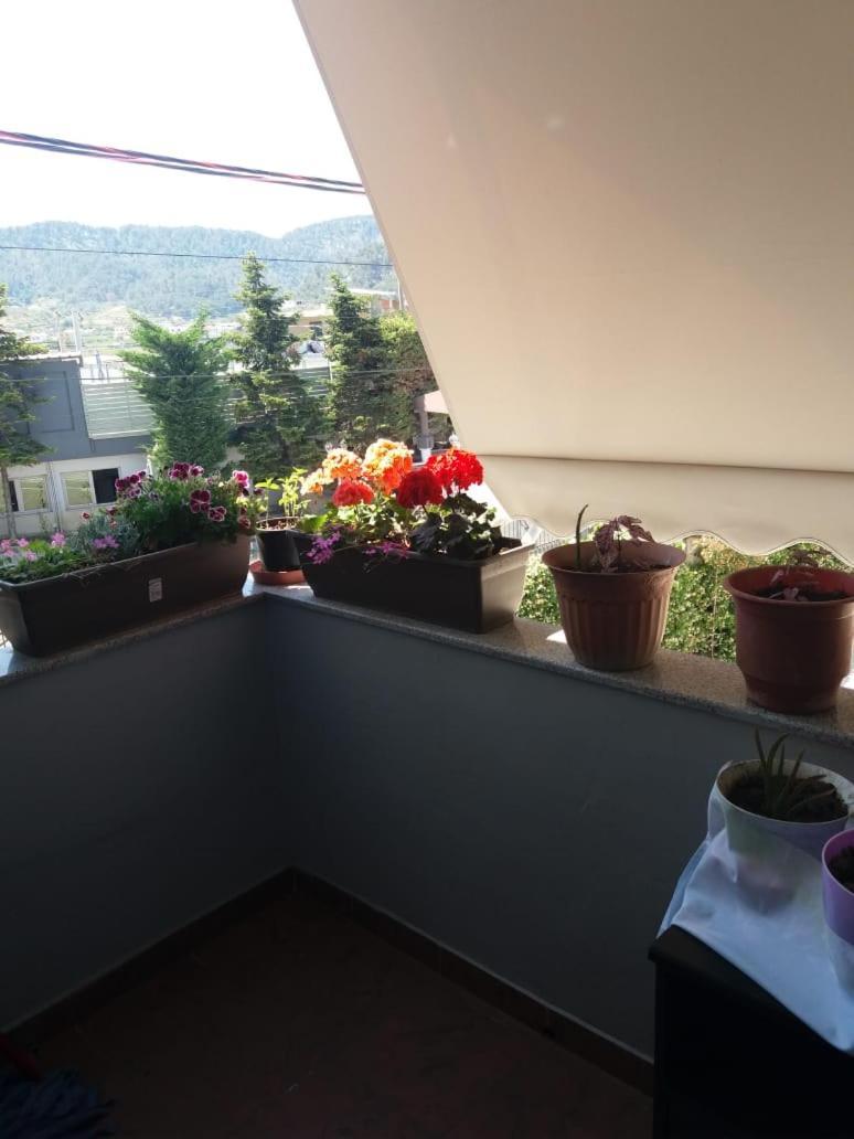Luander Hotel Tirana Cameră foto